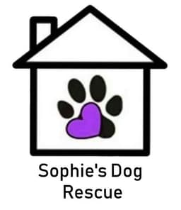Rescue Logo