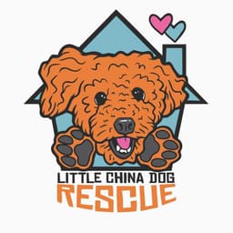 Rescue Logo