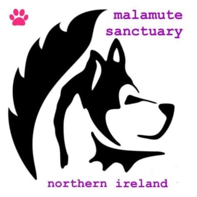 Rescue Logo