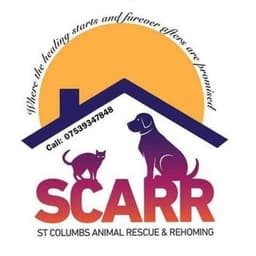 Rescue Logo