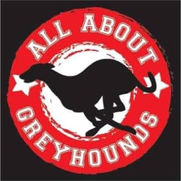 Rescue Logo