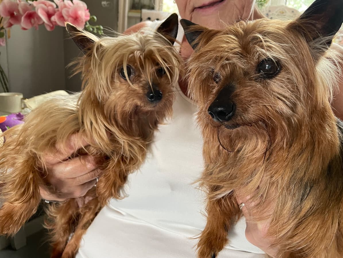 Betty & Cogo