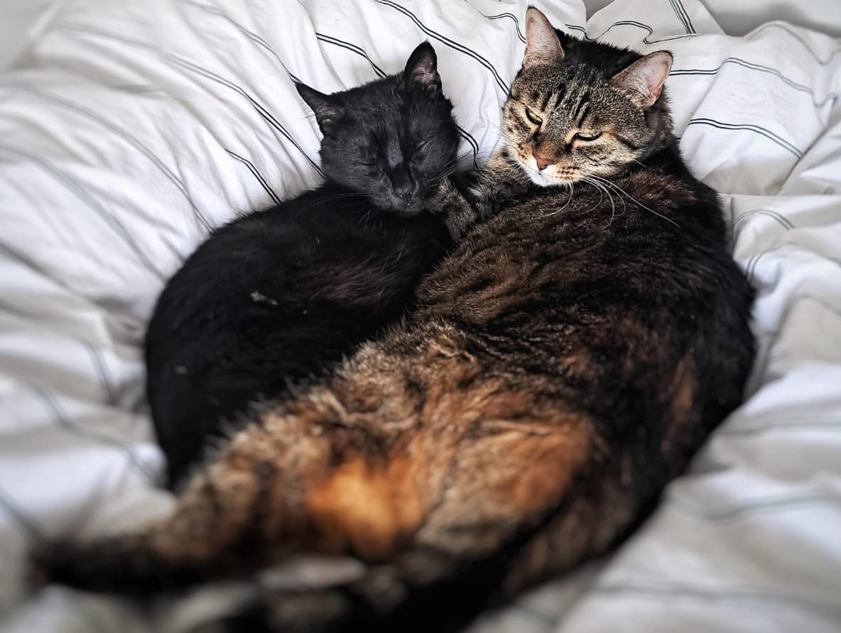 Mini and Max