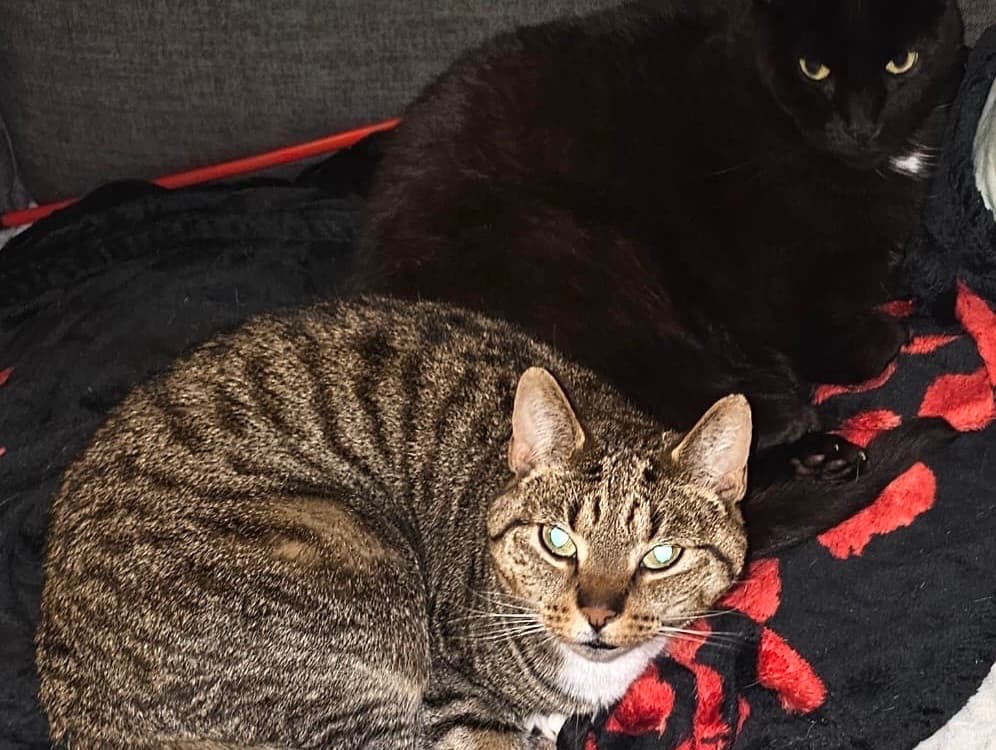 Missy and Pebbles