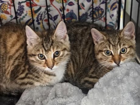 Cali and Carlos