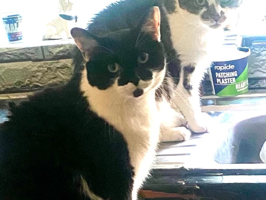 Theo and Tamara: Bonded siblings
