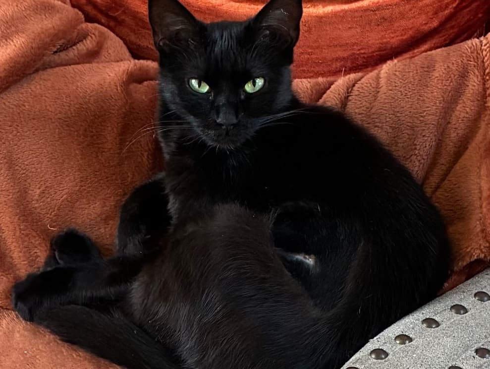 Sophie