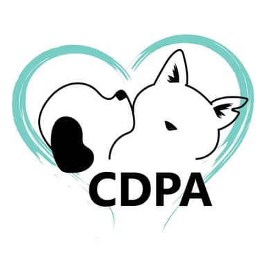 Rescue Logo