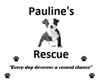 Rescue Logo