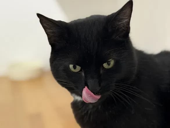 Jack