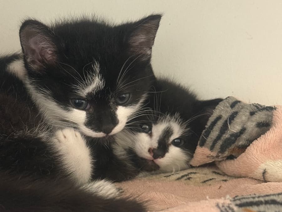 Hugo & Helen