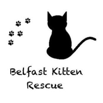 Rescue Logo