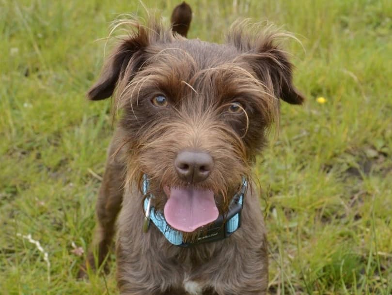 Suzie