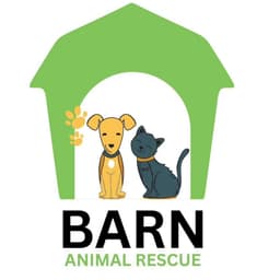 Rescue Logo