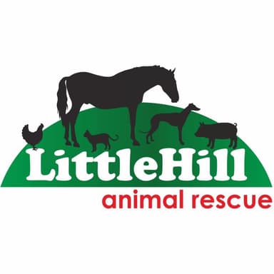 Rescue Logo