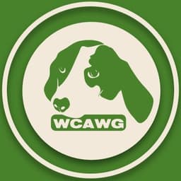 Rescue Logo