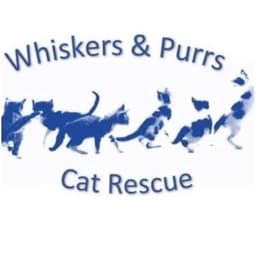 Rescue Logo