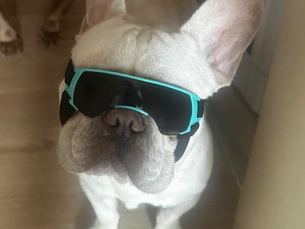 Louie