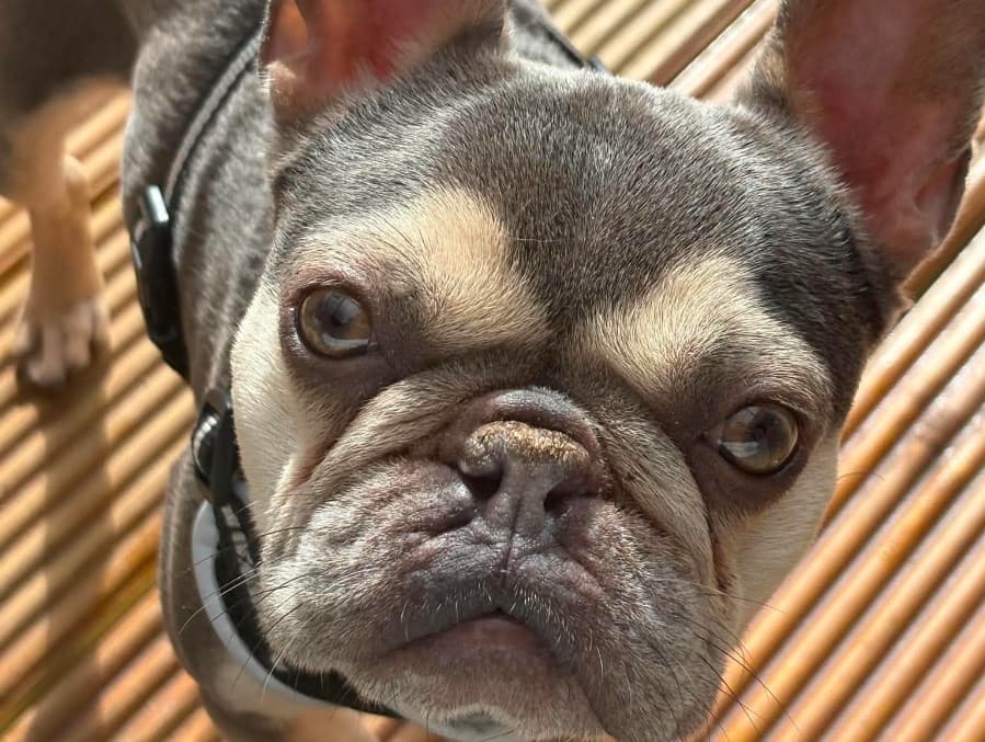 Coco