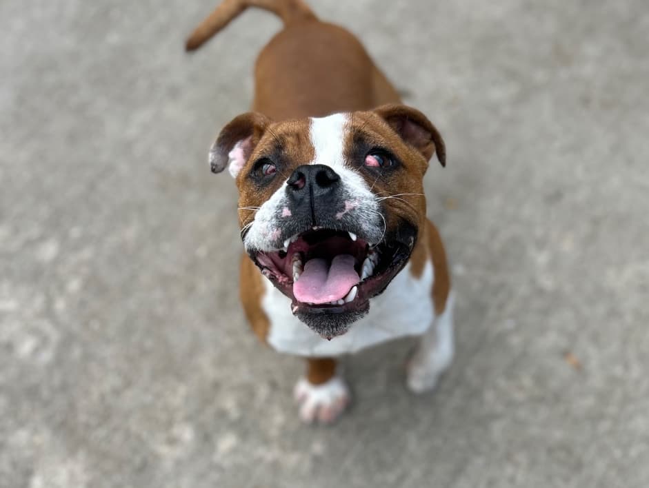 Franklin