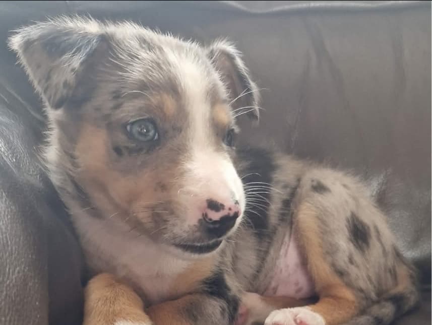 Skye