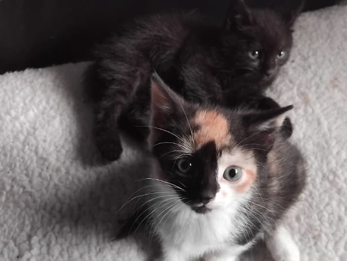 Billy & Sylvie