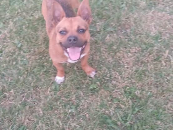 Baxter