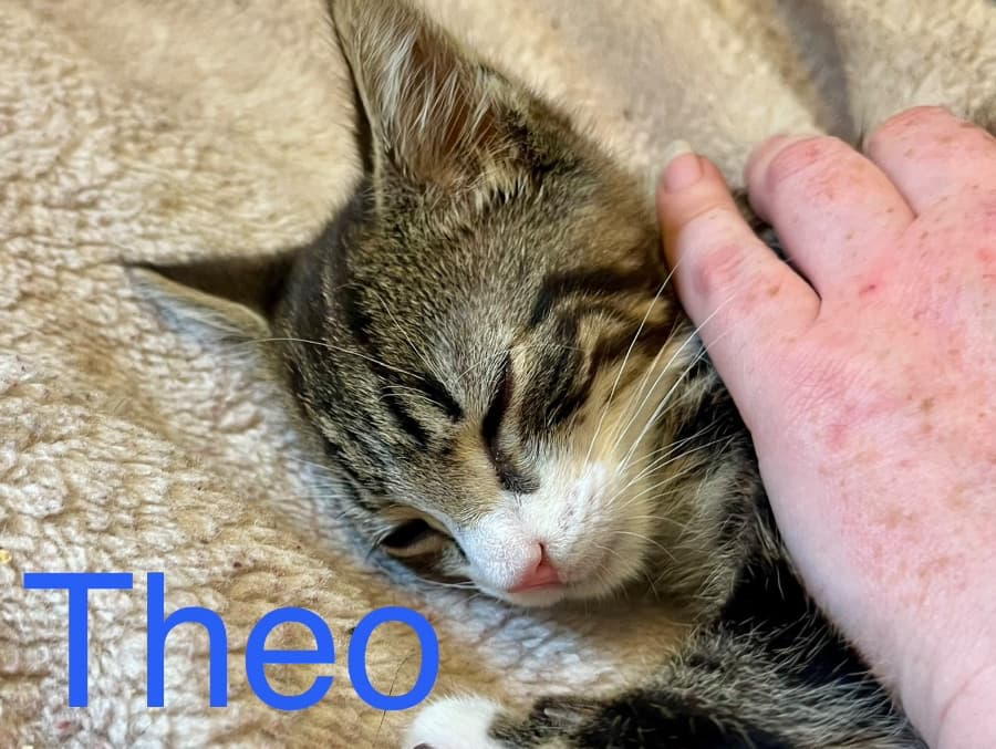 Theo
