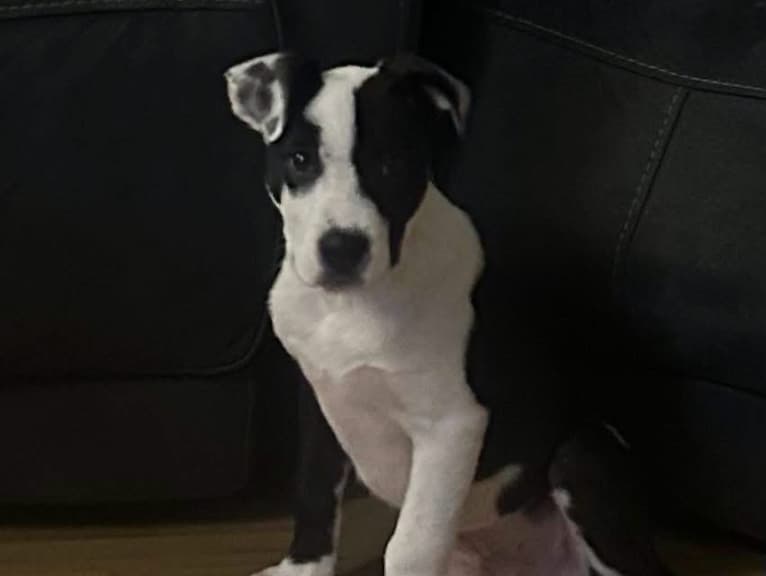 Ralph 